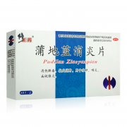 修正蒲地蓝消炎片