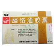 河南辅仁  脑络通胶囊